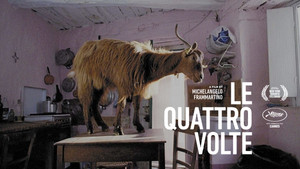 Le quattro volte háttérkép