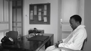 Chroniques fidèles survenues au siècle dernier à l’hôpital psychiatrique Blida-Joinville, au temps où le Docteur Frantz Fanon était chef de la cinquième division entre 1953 et 1956 háttérkép
