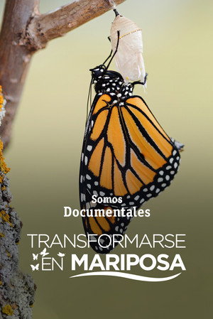 Devenir papillon poszter