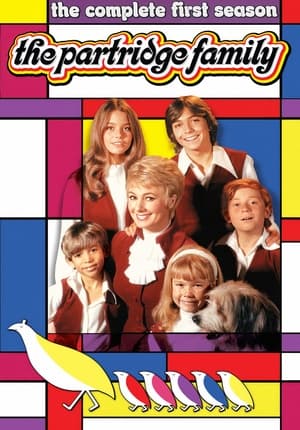 The Partridge Family