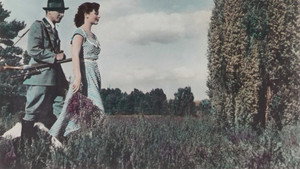 Grün ist die Heide háttérkép