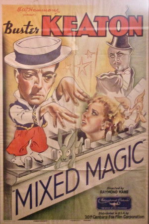 Mixed Magic poszter
