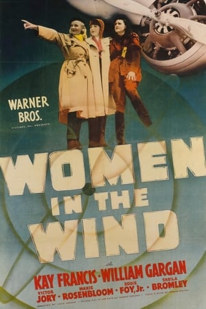 Women in the Wind poszter