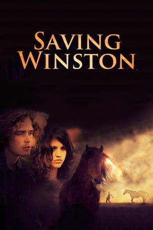 Saving Winston poszter