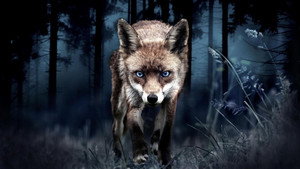 Japon, un nouveau monde sauvage háttérkép