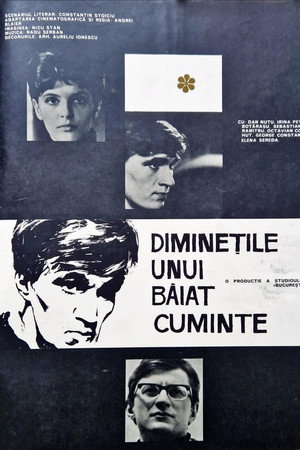 Diminețile unui băiat cuminte poszter