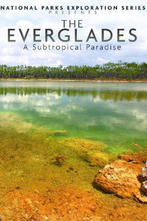 National Parks Exploration Series: The Everglades poszter
