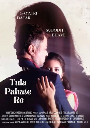 तुला पाहते रे
