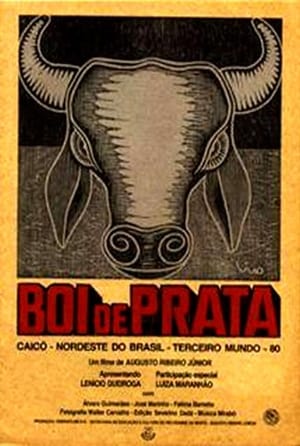 Boi de Prata poszter