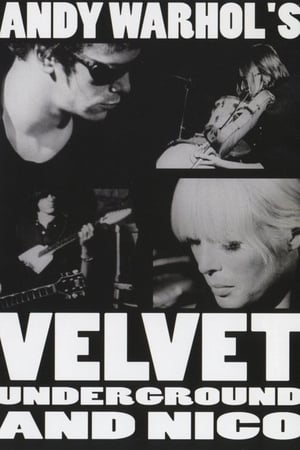 The Velvet Underground and Nico: A Symphony of Sound poszter