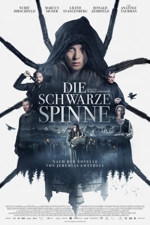 Die Schwarze Spinne poszter