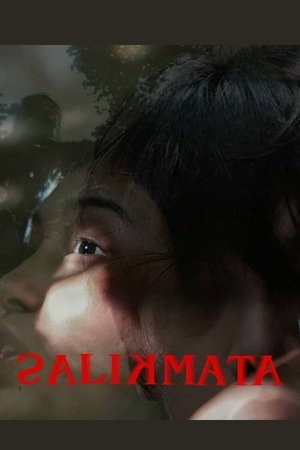 Salikmata poszter