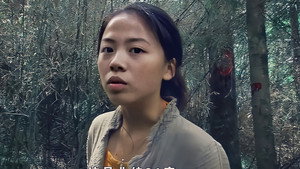 北纬31°录像带 háttérkép