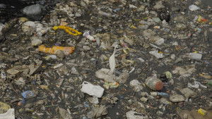 Garbage Ho! háttérkép
