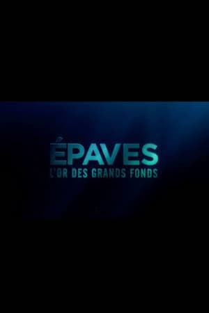 Épaves, l'or des grands fonds poszter