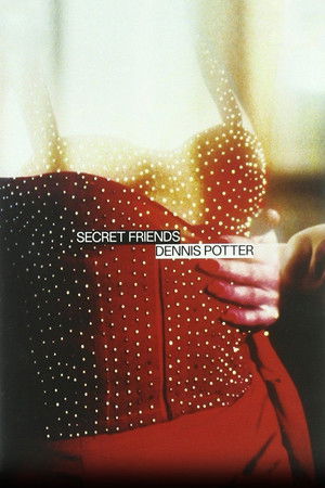 Secret Friends poszter