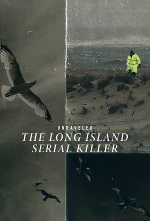 Unraveled: The Long Island Serial Killer poszter