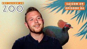 Une saison au zoo Season 9 Ep.4 4. epizód