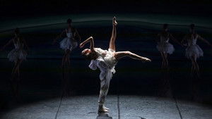Le lac des cygnes au théâtre national de Chaillot háttérkép