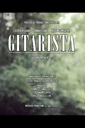 Gitarista poszter