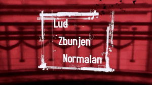Lud, zbunjen, normalan kép