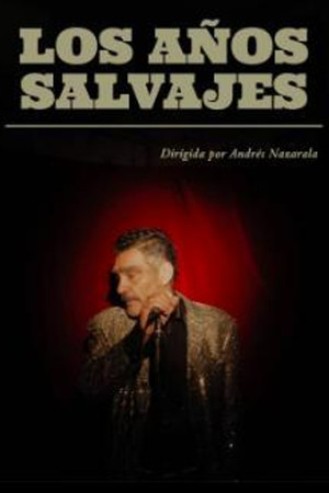 Los años salvajes poszter