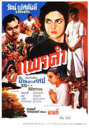แพรดำ poszter