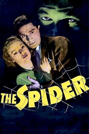 The Spider