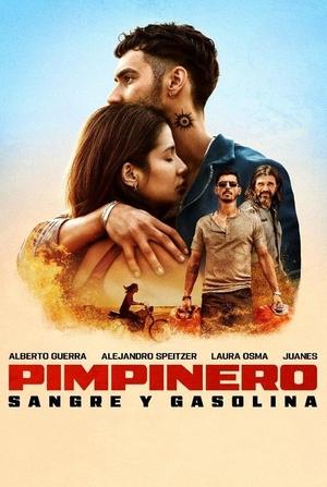 Pimpinero: Sangre y gasolina poszter