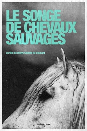 Le Songe Des Chevaux Sauvages poszter