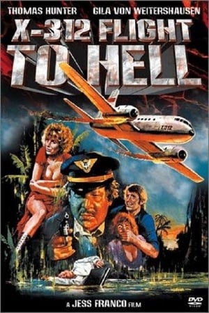 X312 - Flight to Hell poszter