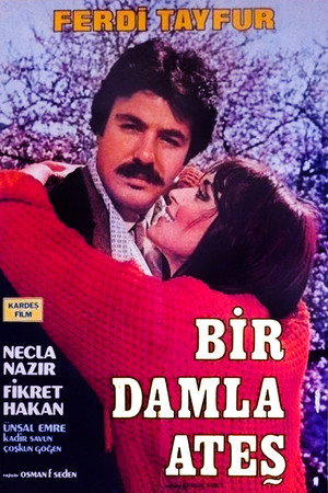 Bir Damla Ateş poszter