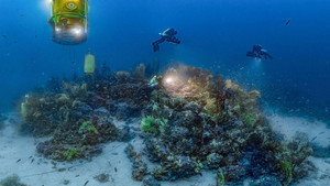 Planète Méditerranée háttérkép