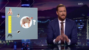 Svenska nyheter Season 4 Ep.9 9. epizód