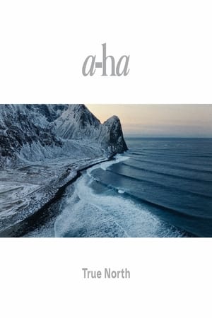 a-ha | True North poszter