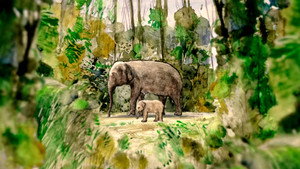 La Tragique Histoire de Fritz l'éléphant háttérkép