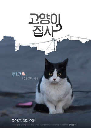 고양이 집사 poszter