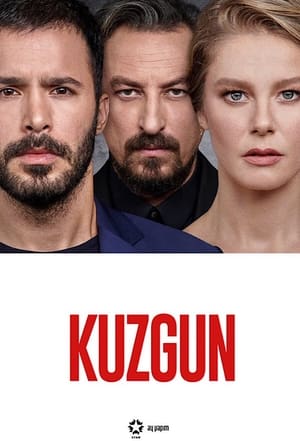 Kuzgun poszter