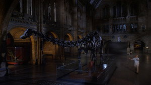 David Attenborough's Natural History Museum Alive háttérkép