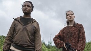 Hanna 2. évad Ep.1 1. epizód