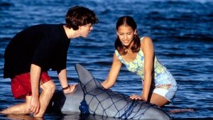 Flipper kép