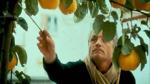 El sol del membrillo háttérkép