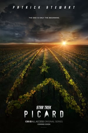 Star Trek: Picard poszter