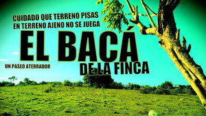 El bacá de la finca háttérkép