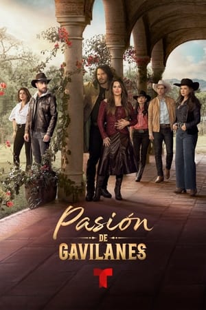 Pasión de gavilanes poszter