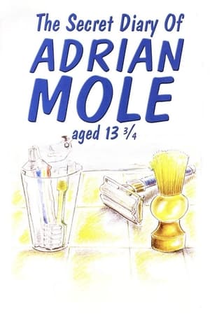 A 13 és 34 éves Adrian Mole titkos naplója poszter