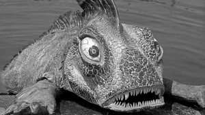 The Outer Limits Season 1 Ep.13 13. epizód