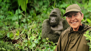 Saving the Gorillas: Ellen's Next Adventure háttérkép