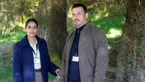 Cooper & Fry kép