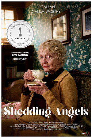 Shedding Angels poszter